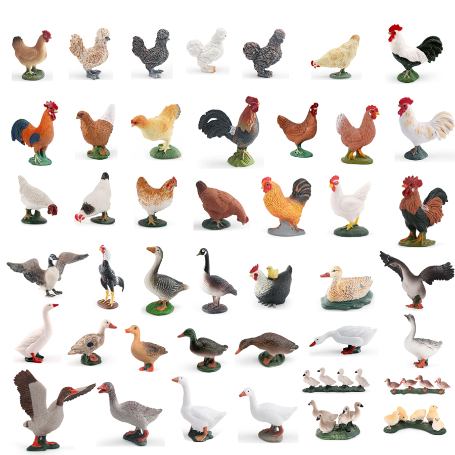 Simulation Farm Poultry Animal – Home Improvement Kids recenzja i cena