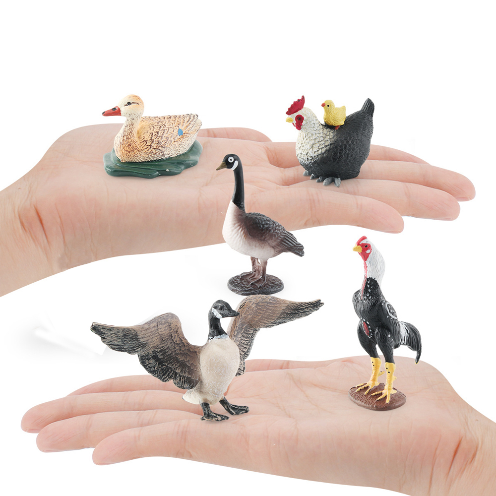 Simulation Farm Poultry Animal – Home Improvement Kids recenzja i cena