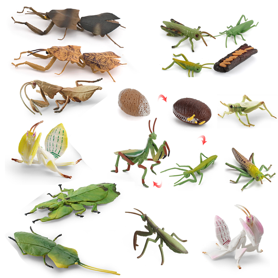 Realistic Orchid Mantis Dead L – Home Improvement Kids recenzja i cena