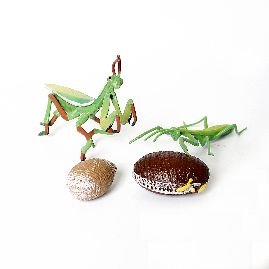Realistic Orchid Mantis Dead L – Home Improvement Kids recenzja i cena